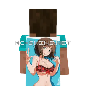 Haruhi Suzumiya Bikini cape, outside and lining