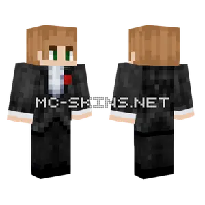 Hellow Minecraft skin