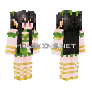 Historya Minecraft skin