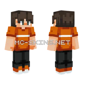 Hive Style SF4 FF Minecraft skin