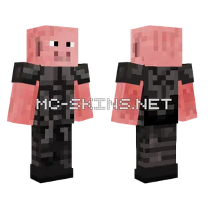 Hogswarth Fixed Minecraft skin