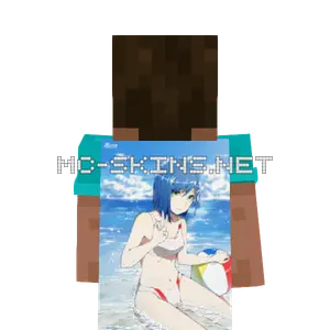 Ichigo Bikini cape, outside and lining