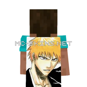 Ichigo Kurosaki cape, outside and lining