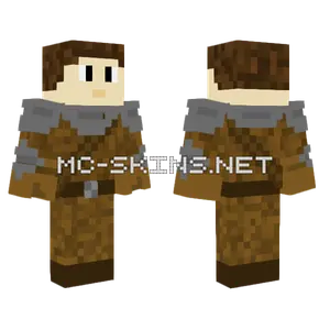 Iron Wood Knight V3 Minecraft skin