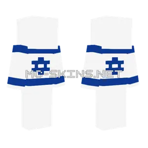 Israel Flag Skin Minecraft skin