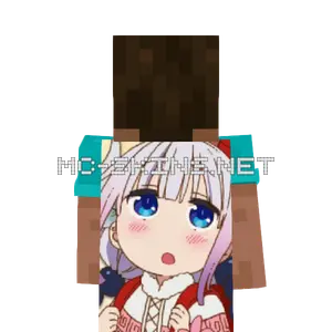 Kanna Kamui cape, outside and lining