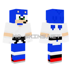 Karate Sonic Minecraft skin