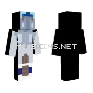 Kingdom of Aruba Minecraft skin