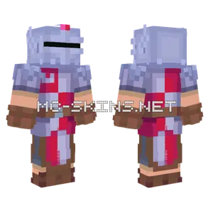 Knight Of Zealand Minecraft skin