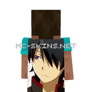 Koyomi Araragi cape, outside and lining