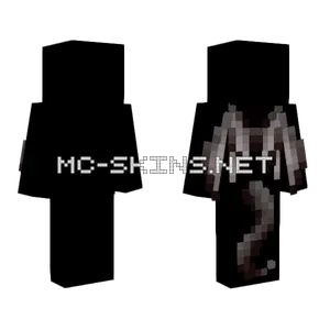Leir Wings Tail Base Minecraft skin