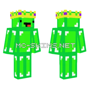 Lime Skeppy Minecraft skin