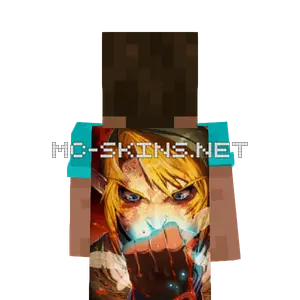 Link Angry cape, outside and lining