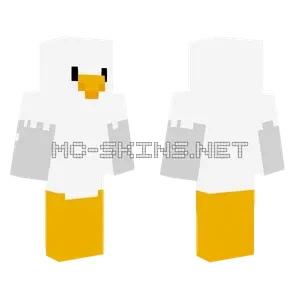 Seagull Bird
