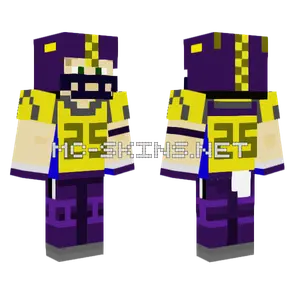 Lsu Ftb Minecraft skin