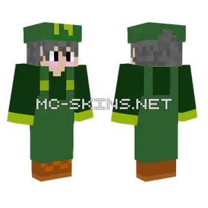 Mark Luigi Super Baill Flower Minecraft skin