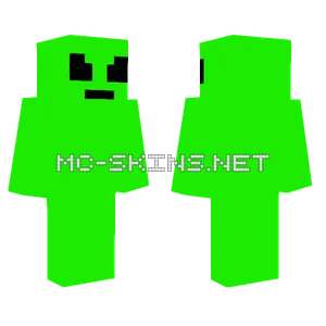 Marty Minecraft skin