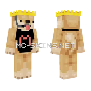 Mc Doge For Goopylokiifk Minecraft skin