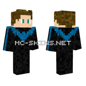 Me But Nightwing Minecraft skin