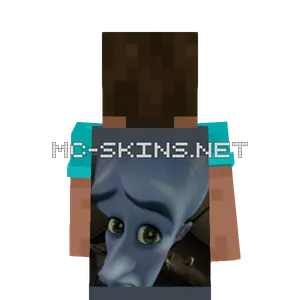 Megamind no bitches cape, outside and lining