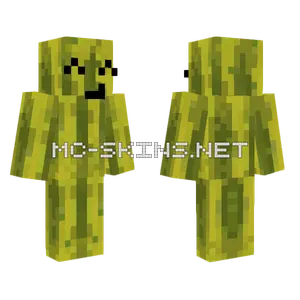 Melon Character Minecraft skin