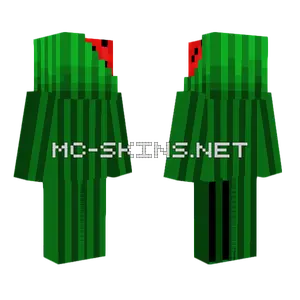 Melon Guy Minecraft skin
