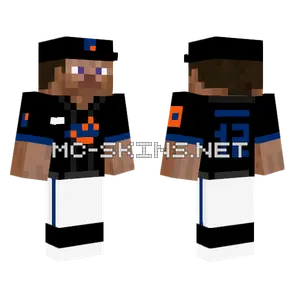 Mets Home Alternate Minecraft skin