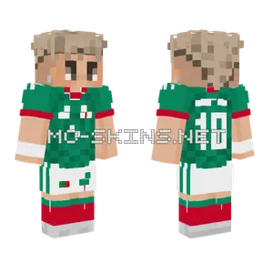 Mexican Soccer Jersey