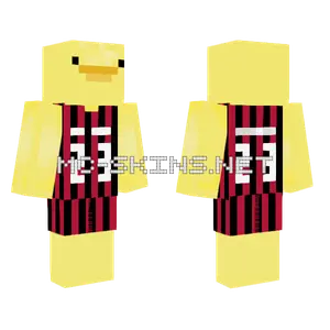 Michael Jordan Duck Minecraft skin