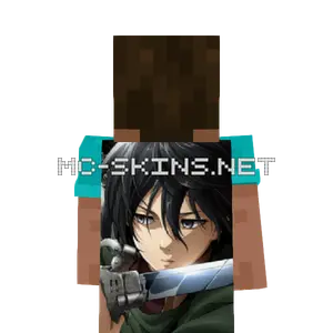 Mikasa Ackerman cape, outside and lining
