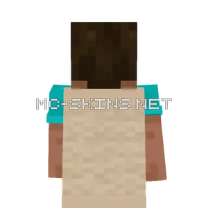 minecraft 26.4 update leak - The Default House cape, outside and lining