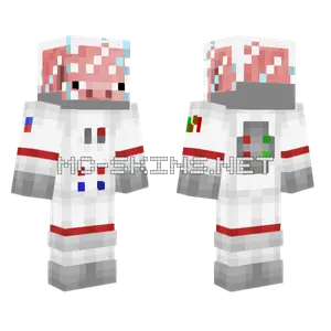 Moshi Minecraft skin