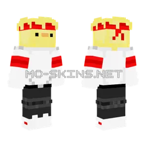 Mr Duck Minecraft skin