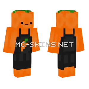 Mr. Food Minecraft skin