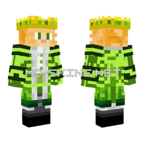 Mr Swiftcat Skin Minecraft skin