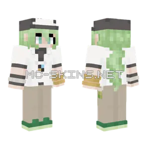 N Pokemon Minecraft skin