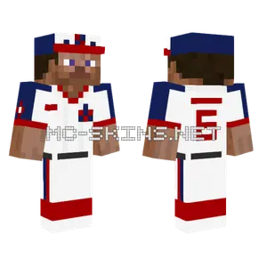 Nationals Home Alternate Minecraft skin