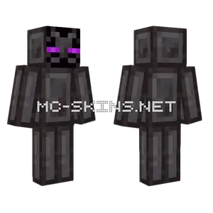 Netherite Enderman Check Disc Minecraft skin