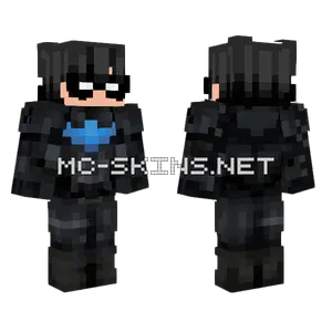 Nightwing Suit