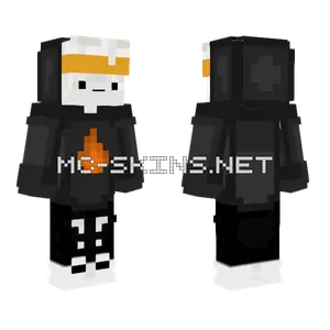 Ninja Pro Minecraft skin