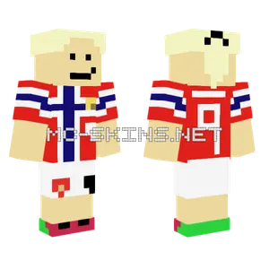 Norwegian Flag Jersey