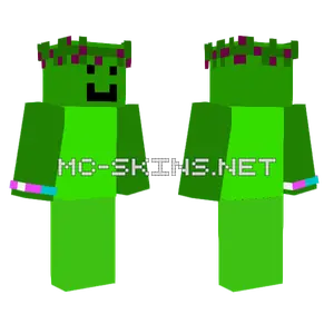 Op Green Guy Minecraft skin
