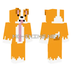 Orange Corgi Dog