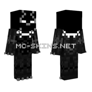 Pandera Negra Minecraft skin