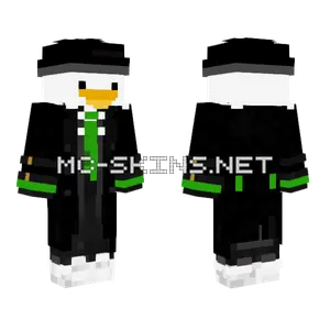 Patito Harri Pottel Verde Minecraft skin