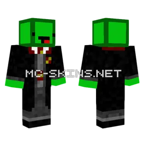 Pickledude999 Griffindor Skin Minecraft skin