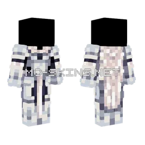 Preux Chevalier Base Bsilver Minecraft skin