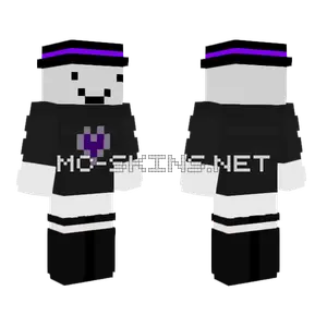 Purple Hat Man Minecraft skin