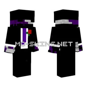 Purple Hooded Figure Minecraft skin