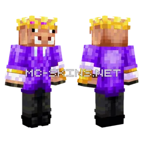 Purple Hooded Figure Minecraft skin